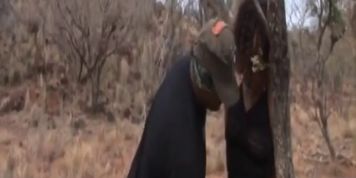 Perverted dudes going rough on a hot ebony chick