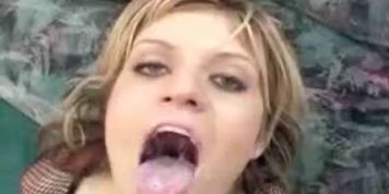 Classic Cum Swallows i