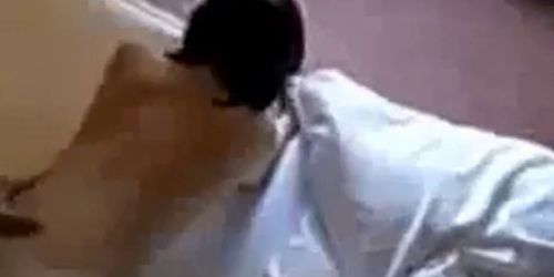 My favorite video i