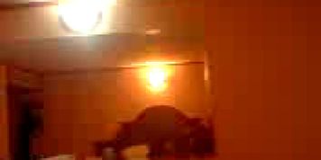 eating wife