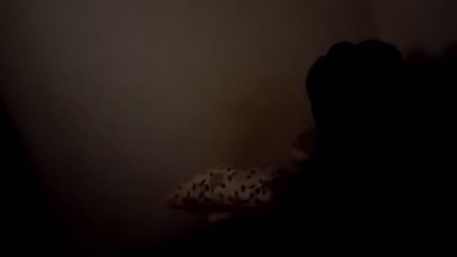 Tata i (Repost) Anal A Partir Dos ii:oo, Sem Folga Até Arrombar, Rabuda Assim Tem Que Raiva E Sem Dó