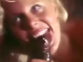 Vintage Chris Cassidy - Housewifes Dream
