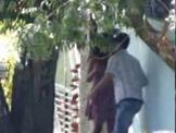 Public Handjob