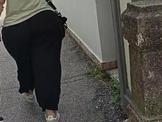 Big ass wiggles