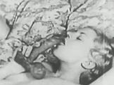 Vintage Porn i