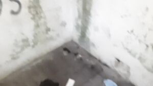 Lesbian Illusion - I Cum In Her Mouth To The Sound Of Rain In A Public Place