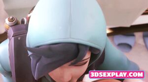 eD Porn Compilation of The Best Babes