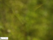VIXEN - A true swinger couple shares everything