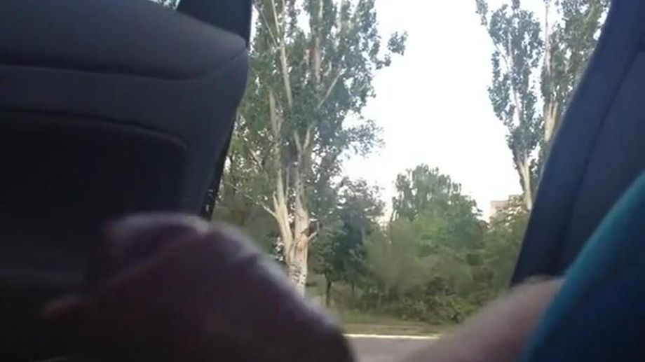 Car Dickflash Compilation 4
