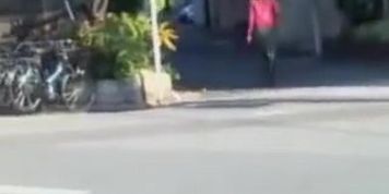 Sharking skirt adventure with sexy cutie having surprised encounter
