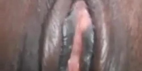 Black pussy