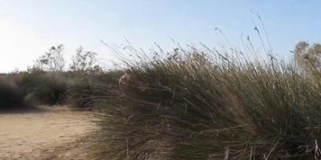 Submissive woman drilled by stranger on the beach