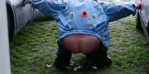 Woman caught pissing in public (Van Damage)