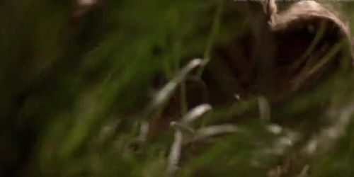 Patricia Arquette - ''Human Nature'' o5