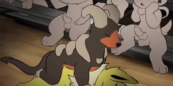 [Dacad] Gym Pups Feral Pokeporn [M/F]