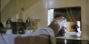 La Clinique Des Phantasmes i98o Classic Porn