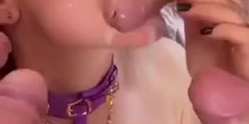 Little Caprice Mix (Cute Sunny)