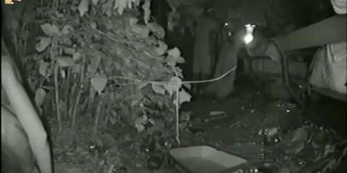 Sexy girl with perfect body pissing in the bush at night