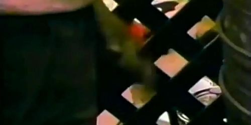 Complete Fantasies (85)