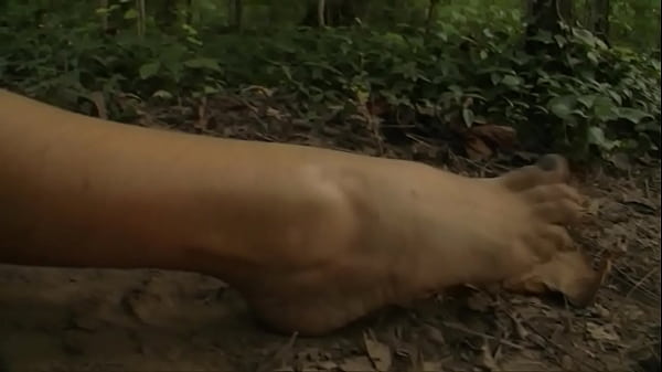 Enfurecido por sus derrotas contra la reina amazona, Pentheselia, Aquiles se enfurece hacia la selva amazónica en busca de venganza.