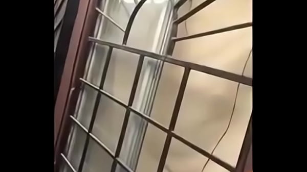 Gritos gemidos