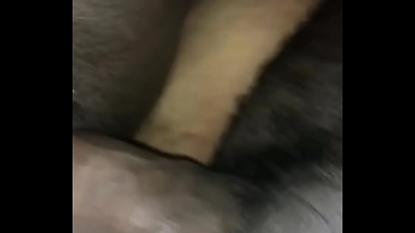 POV Black BBW Quickie Fucking Pt 2