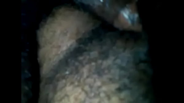 pov maldito perrito
