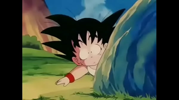 Dragon ball i6