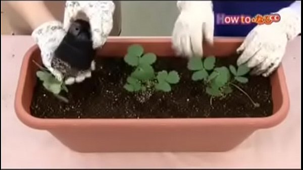 Documental sobre orgasmos femeninos