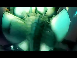 xenomorph animation monster alien sex human fantasy