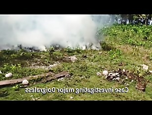 Investigation with Fires in SiberiaqvcJx